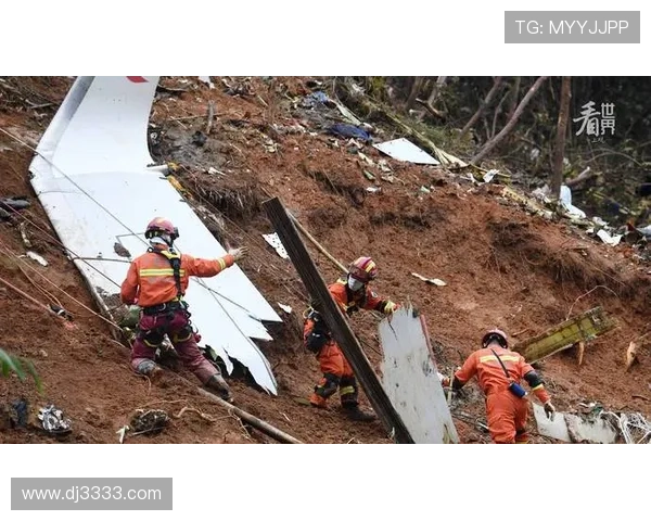 萨拉坠机案终审判决将在3月30日公布